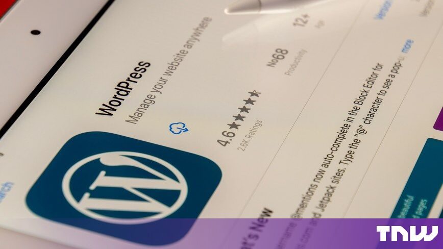 WordPress güvenlik açığı ile ilgili bilgi veren grafik