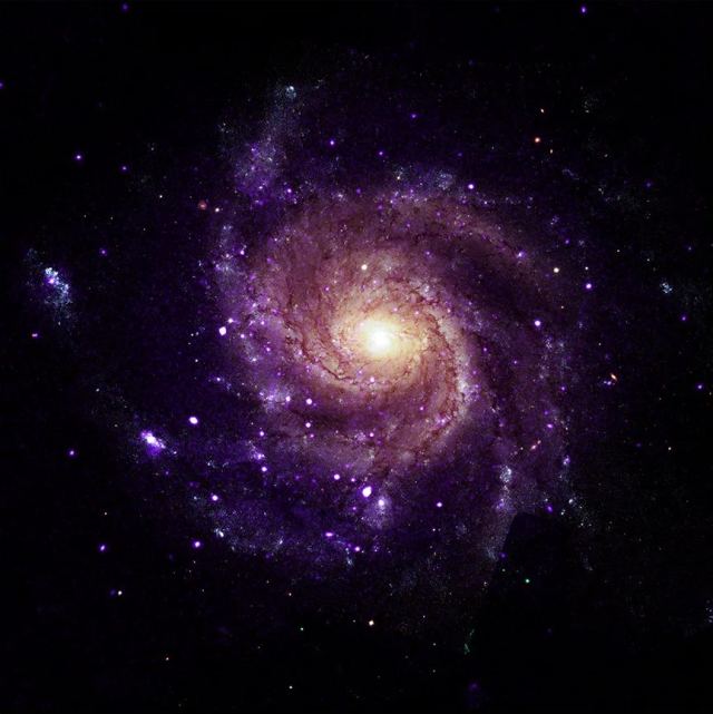 Chandra X Işını Gözlemevi verileri ile tespit edilen X ışını kaynakları