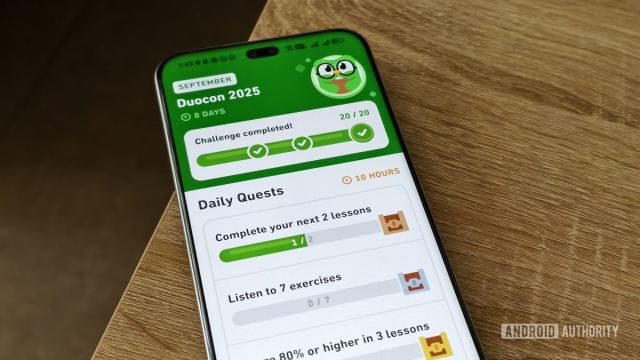 Duolingo uygulamasında bağlantı sorunları ve hatalar hakkında bilgi.
