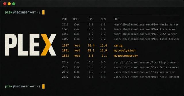 Plex2Shell açıkları ile ilgili bir grafik, Plex Media Server'da güvenlik zafiyetlerini gösteriyor.