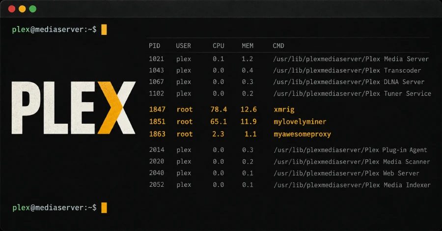 Plex2Shell açıkları ile ilgili bir grafik, Plex Media Server'da güvenlik zafiyetlerini gösteriyor.