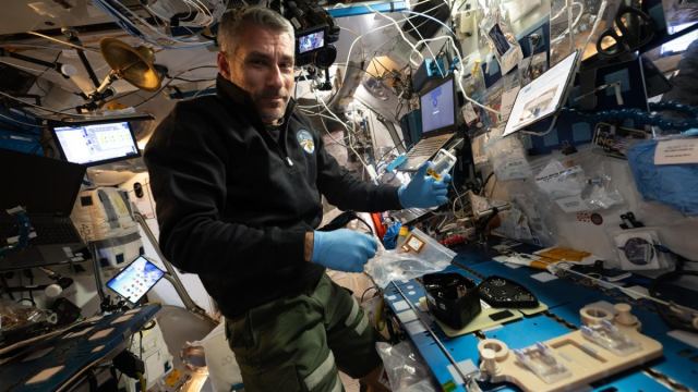 Uzayda bitki deneyleri yapan NASA astronotu Luke Delaney'in çalışmaları.
