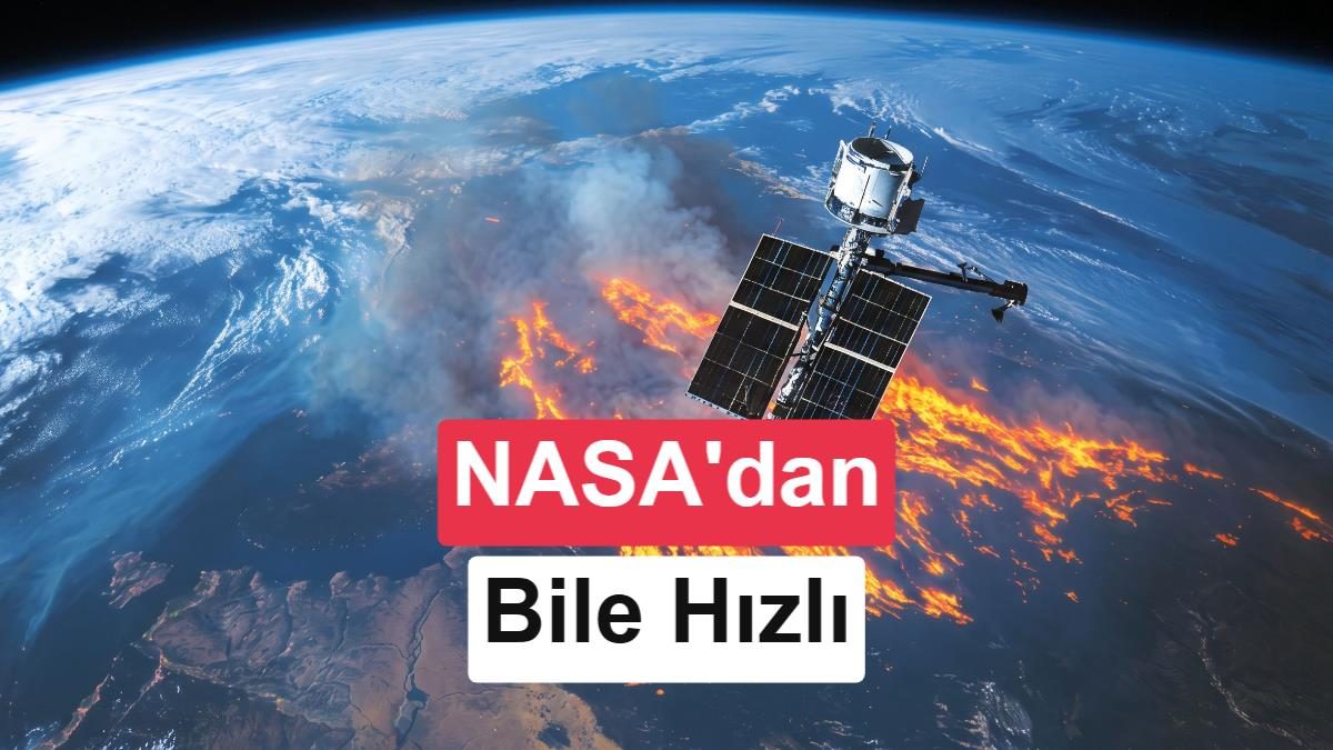 Satellites on Fire, orman yangınlarını yapay zeka ile hızlıca tespit ediyor.