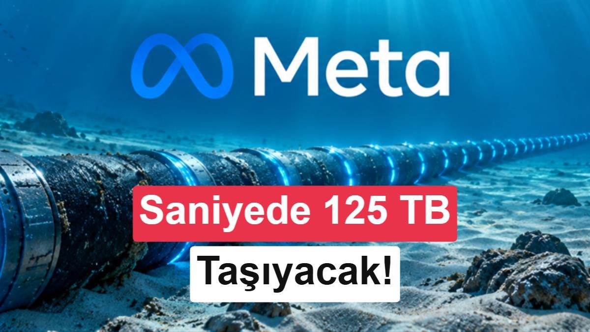 Meta'nın Petal internet kablosu, saniyede 125 TB veri taşıma kapasitesine sahip.