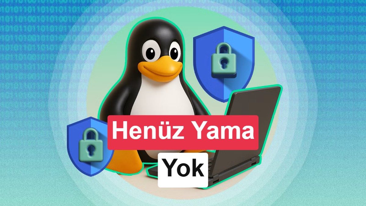 Linux çekirdeği açıkları hakkında bilgi veren grafik